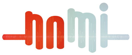 Nami Logo
